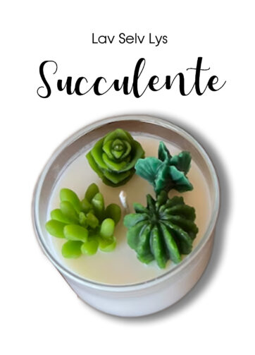 Startsæt til lysstøbning – DIY Lys – succulente/ sekulente Edition, Gør det selv lys, lysfremstilling. Silikoneform til lys, Lysstøbning udstyr, Lav selv lys kit