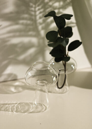 glas vase som er designet som en svamp. Glasvaser. Unikke glasvaser fra Limone Home Decor. Svampe vase. en vase i gennemsigtigt glas (3)