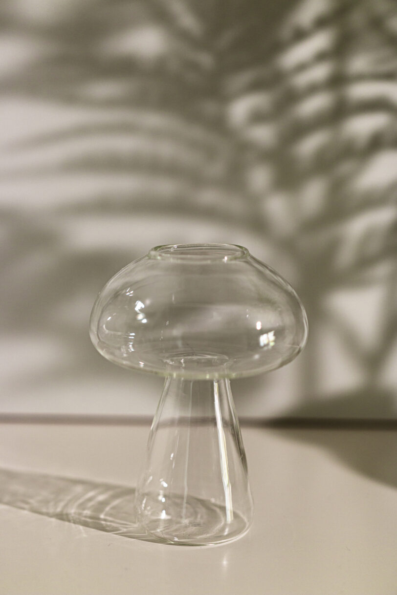 "Fungo" Glas Vase | 13x9cm