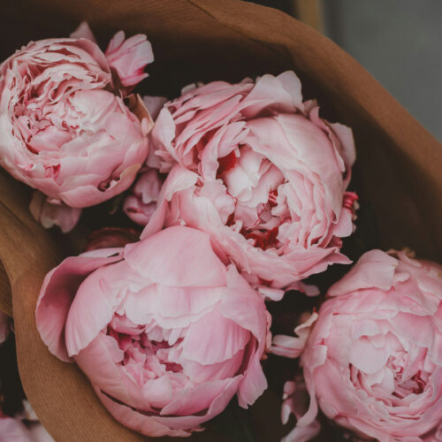 duftolie til stearinlys peony, duftlys, sojalys, limone, duft til soyalys