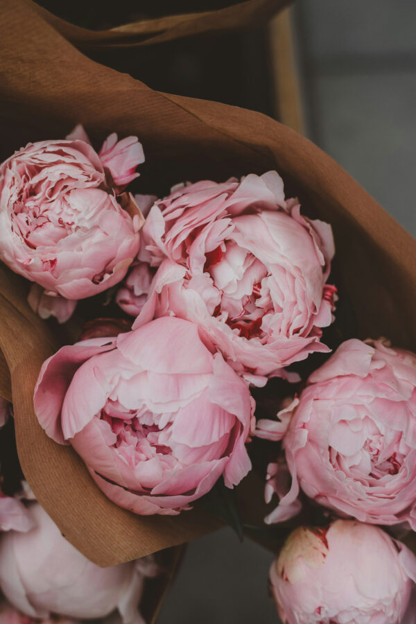 duftolie til stearinlys peony, duftlys, sojalys, limone, duft til soyalys duftolie til stearinlys peony, duftlys, sojalys, limone, duft til soyalys